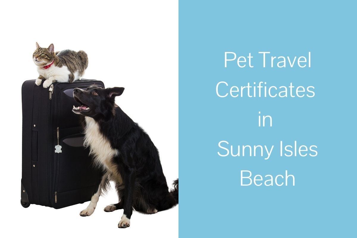 Pet Travel Certificates in Sunny Isles Beach Blog