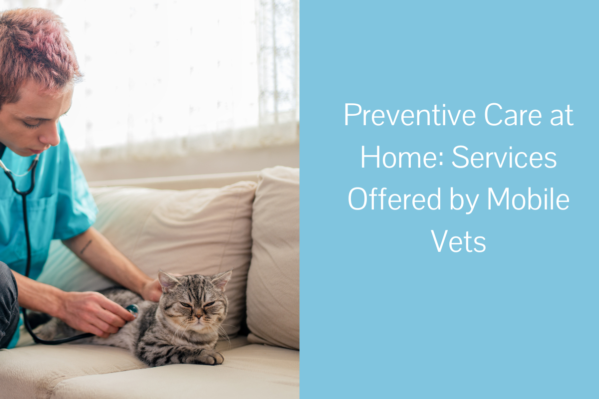 Preventive-Care-at-Home-Services-Offered-by-Mobile-Vets