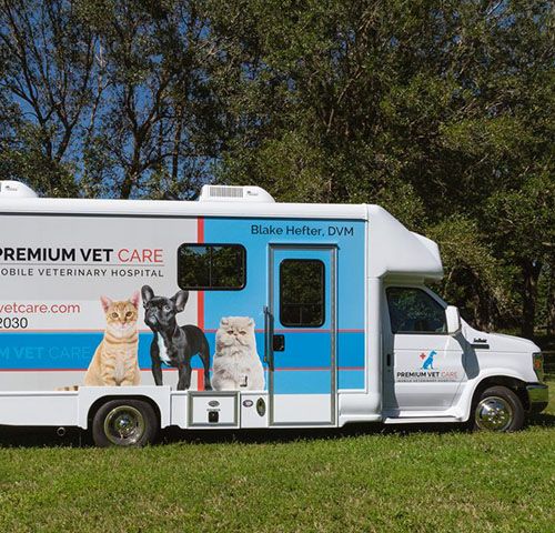 Vet mobile store clinics near me