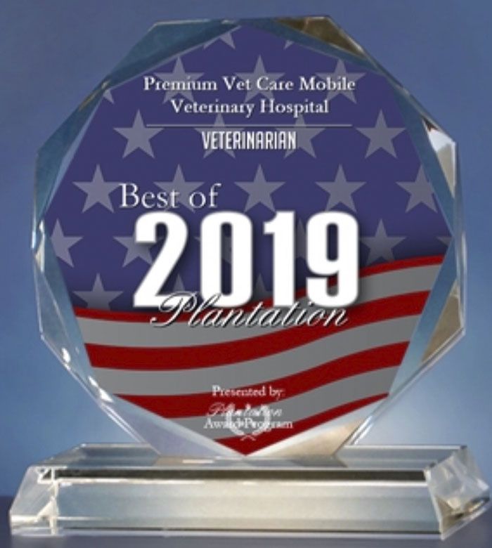 Award trophy with American flag design reading "Best of 2019 Veterinarian."