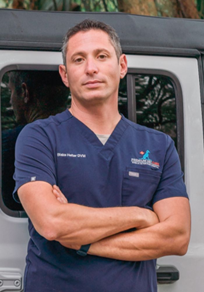 Man in a blue medical scrub standing with crossed arms in front of a van.