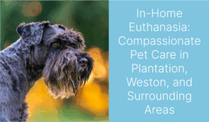 Profile of a Schnauzer dog with focus on its face against a blurred green background.