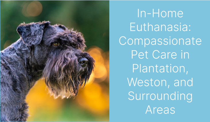 Profile of a Schnauzer dog with focus on its face against a blurred green background.