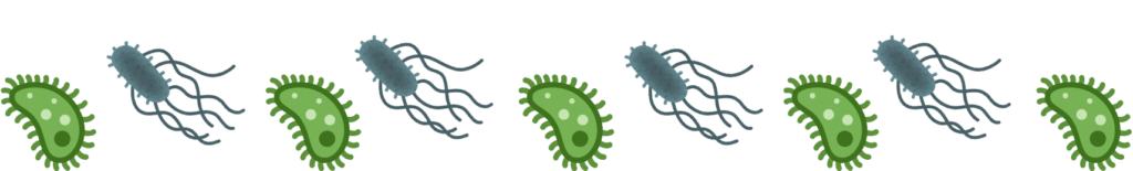 Veterinary team checking a pet’s coat for fleas and ticks at Premium Vet Care in Plantation FL