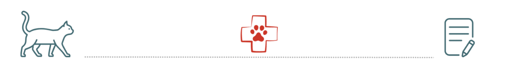 pet insurance benefits for dogs at Premium Vet Care in the community