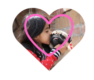 Experienced vet in Miami, FL providing personalized veterinary care at Premium Vet Care