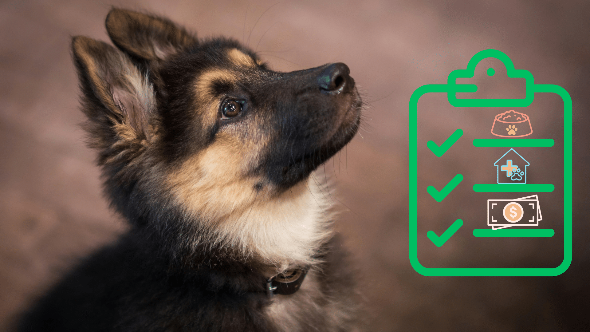 A German Shepherd puppy beside a new pet care checklist from Premium Vet Care