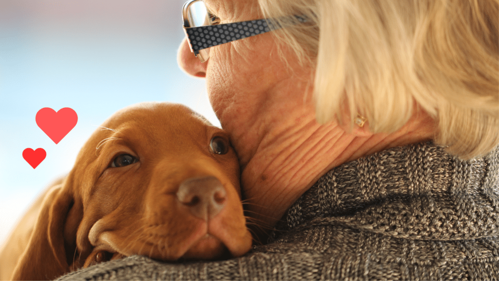 New puppy cuddling with its owner while beginning life at home with Premium Vet Care in Plantation, FL